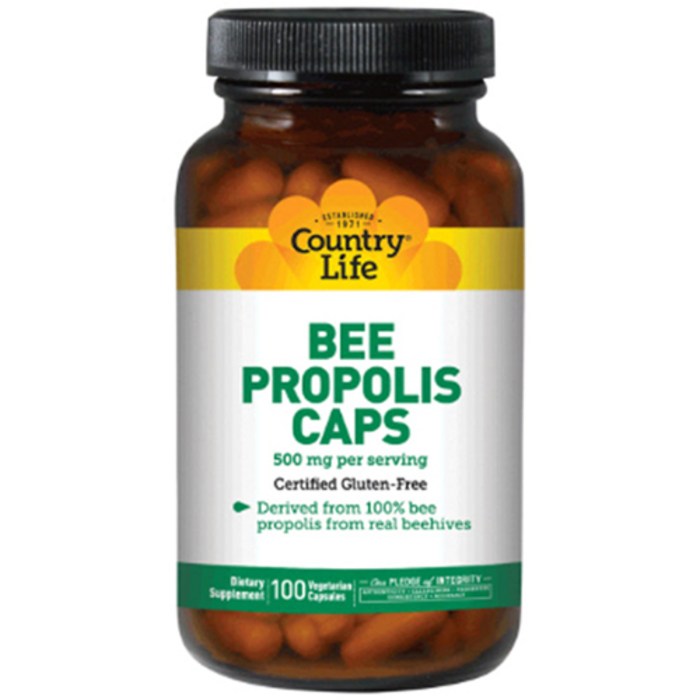 Country Life 비 프로폴리스 캡 500 mg 베지테리안 캡슐, 100캡슐, 1개 대표 이미지 - 면역력 좋아지는 법 추천