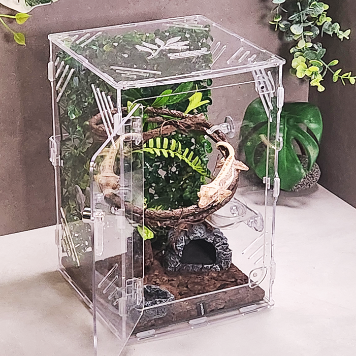 에버리움 크레스티드 게코 도마뱀 아크릴 사육장 세트  소형 20x20x30cm