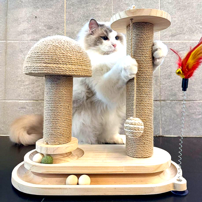 꼼꼼펫 고양이 장난감 스크레쳐 공놀이, 1개, 베이지