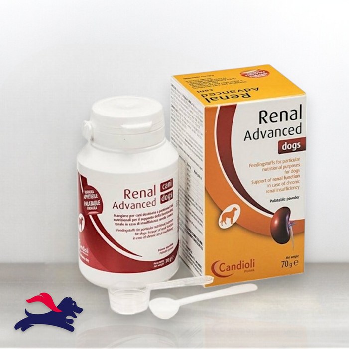 레날 어드밴스드 독 70g 신장질환 보조제