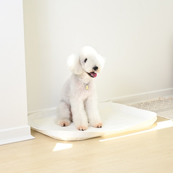 피피 강아지 스퀘어 사각 배변매트 배변판 방수 배변패드판 모서리 샘방지, 1개, 화이트