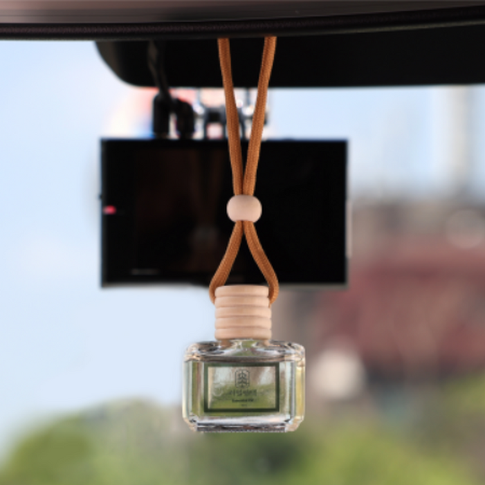 리얼편백 피톤치드 편백오일 천연 차량용 방향제, 편백향, 5개