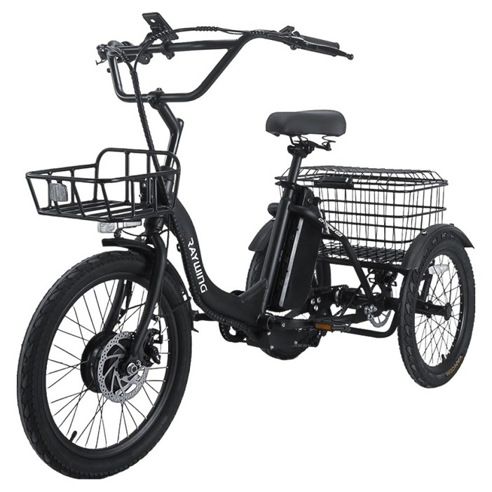 레이윙 삼성셀 배터리 캐리 이지 삼륜 전기자전거 25Ah 고객직접설치, 팬텀 블랙, 스틸