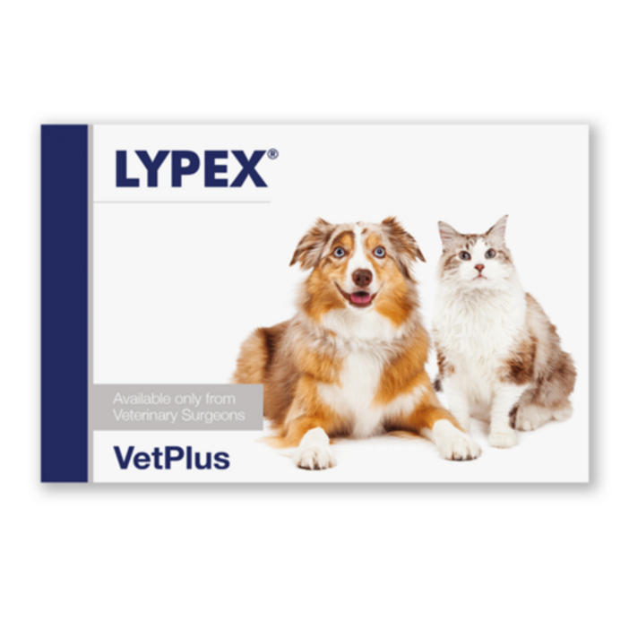 벳플러스 VetPlus 라이펙스 60캡슐