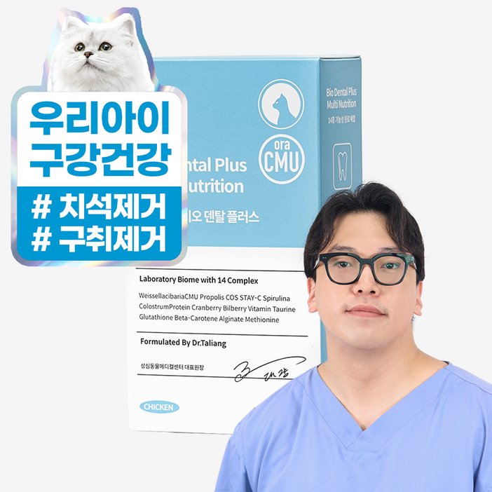 마싯츄 고양이 구강 덴탈
