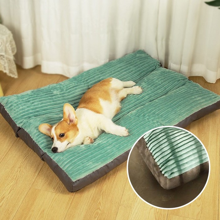 골드릭 강아지 고양이 마약 방석 쿠션, P5민트그린