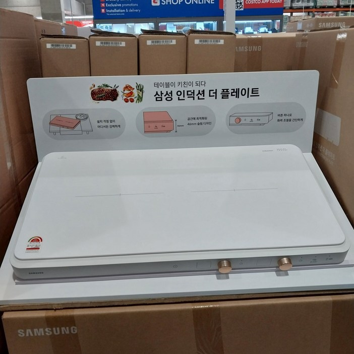 삼성 더 플레이트 2구 인덕션 NZ62DG300CFW 화이트
