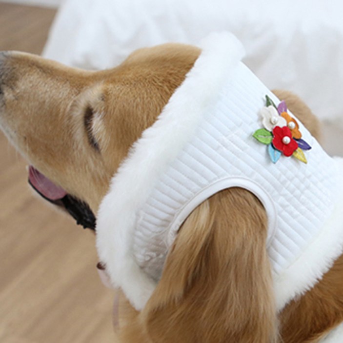 이츠독 반려동물 설중화 누빔 귀도리