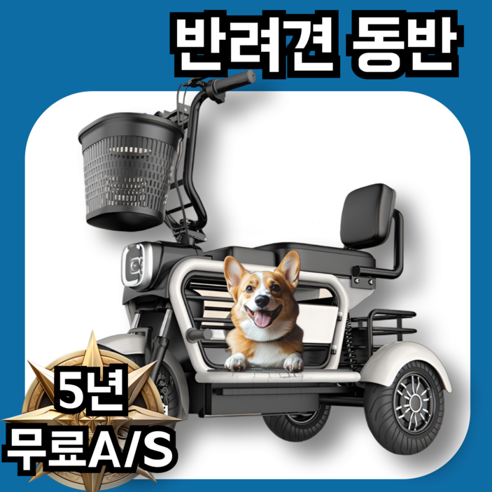 RideMax 애견동반 세발전기자전거 자녀 전동 자토바이 출퇴근 성인 스쿠터, 그린, 스틸