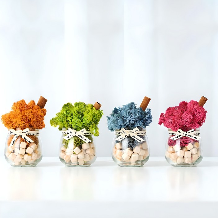 꽃순이 스칸디아모스 인테리어소품 공기정화식물 4색