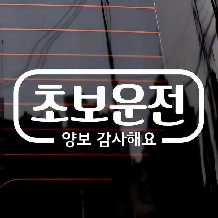 심플라인 초보운전 차량용 스티커