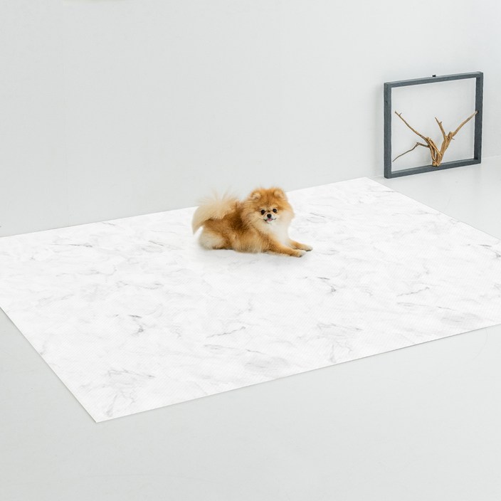 디팡 펫플레이 강아지매트 러그타입 2장
