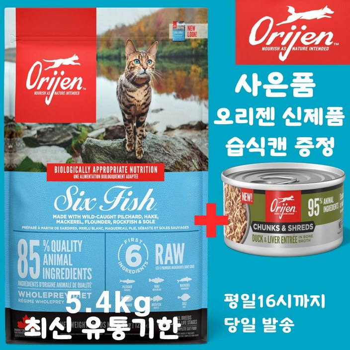 오리젠 6 식스 피쉬 캣 견성상사 단독 사은품 증정 판매자 확인필수