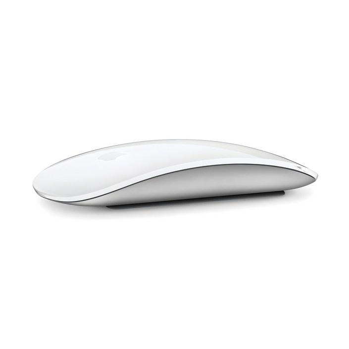 Apple 2021년 Magic Mouse