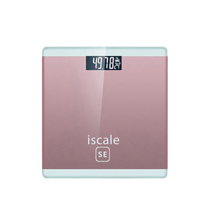 iscale SE 미니 디지털 체중계