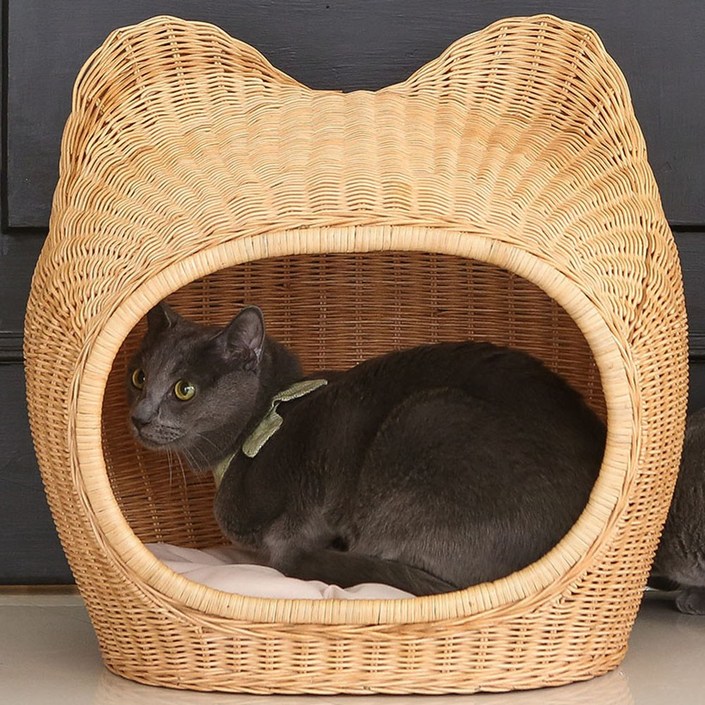 초록씨 고양이 강아지 라탄 하우스고양이집 강아지집 하우스쿠션하우스, 1.큐티 라탄 하우스, 1개