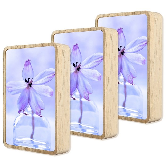 6.5x9.5cm 고무나무 직사각 미니액자 원목액자 포토테이블 납골당 꾸미기 나무액자, 3개, 베이지색