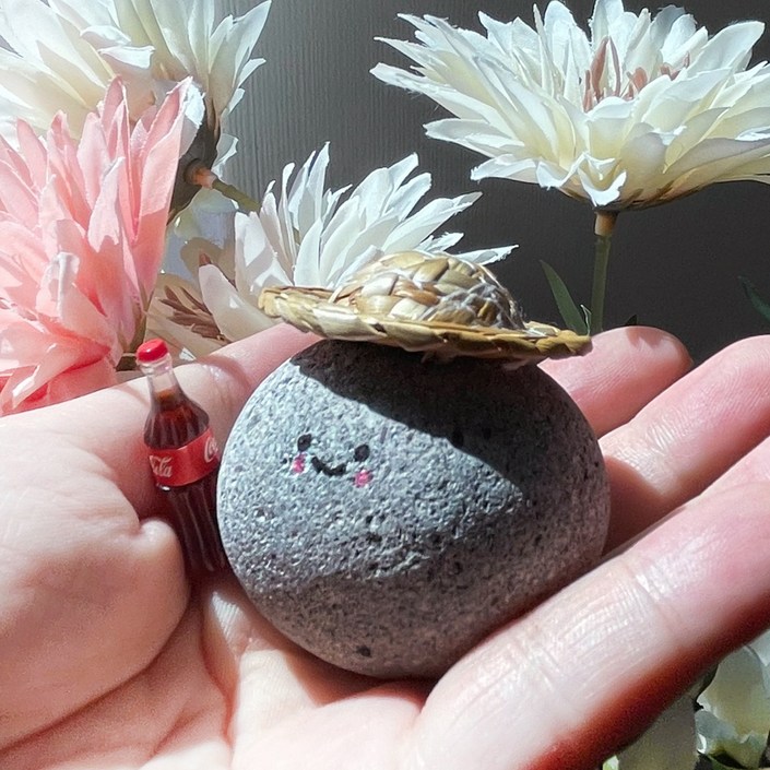 맘스크 반려돌 애완 돌 반려석 키우기 세트 어린이 생일 선물