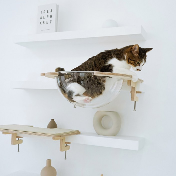 캣돌 고양이 책상 책장 선반 캣타워 해먹, 1개