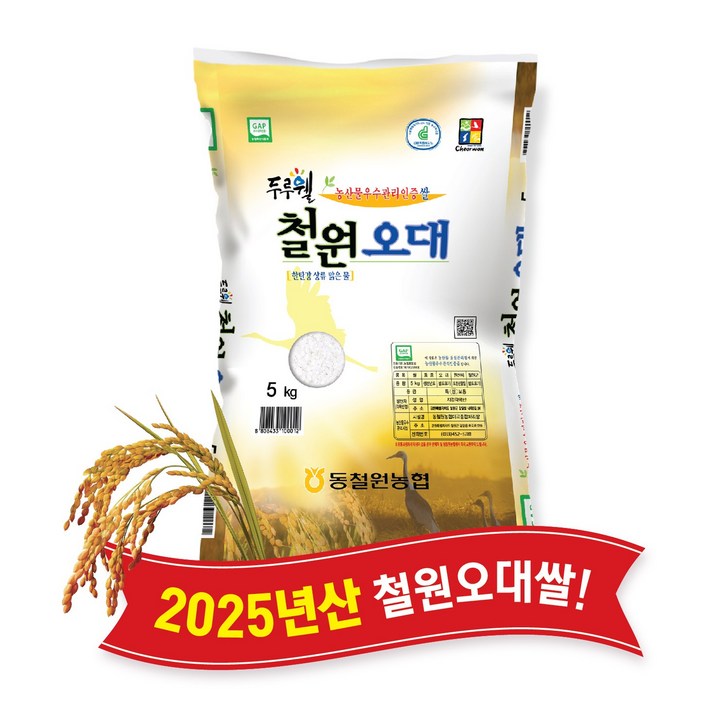 [당일도정] [동철원농협 직접운영] 2025년산 햅쌀 두루웰 철원오대, 1개, 5kg, 상등급