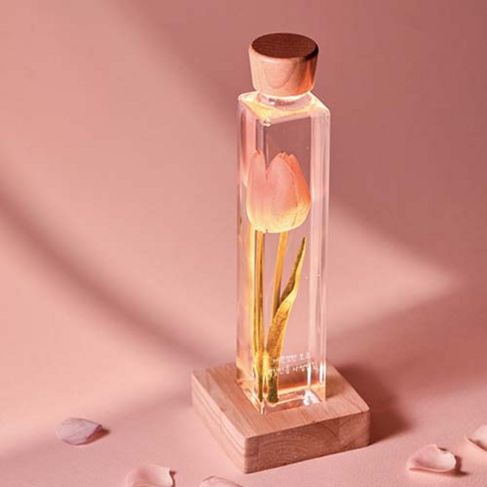 리비트 튤립무드등, 핑크예쁜것만 보고  벅찰만큼 사랑받길