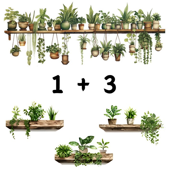 제이레인 식물 인테리어 스티커 벽면 인테리어 스티커