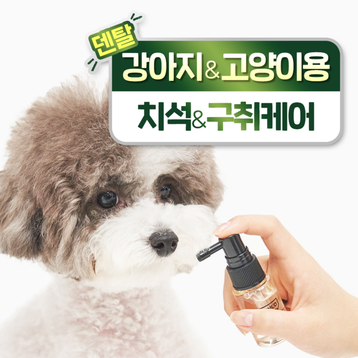 헨로포우 덴탈스프레이 헨로포우 덴탈스프레이