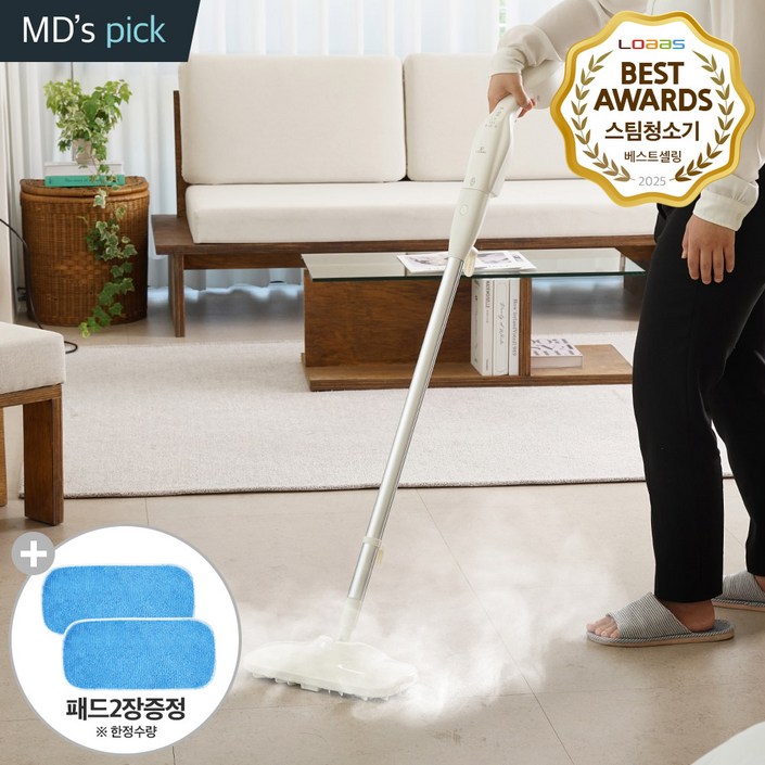 로아스 2in1 스팀청소기 LTES600 고온 고압 가정용 핸디 쇼파 침구 스팀 물걸레