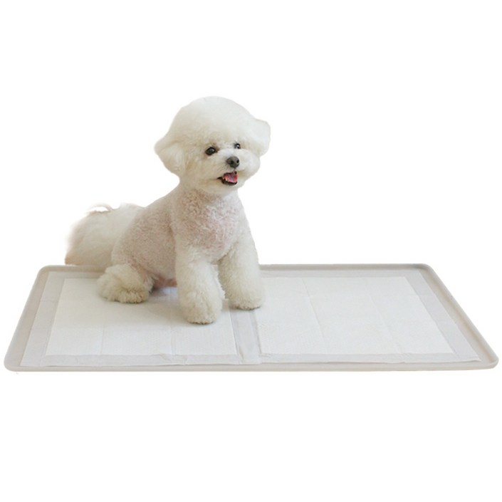 초코펫하우스 퍼펙트 토일렛 강아지 배변판 2.0, 단일색상, 1개
