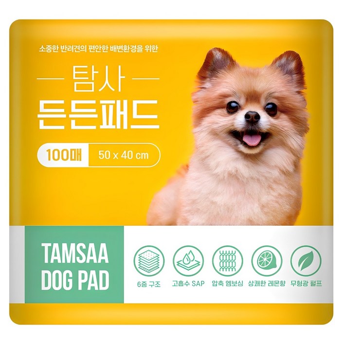 탐사 고흡수 든든패드 레몬향