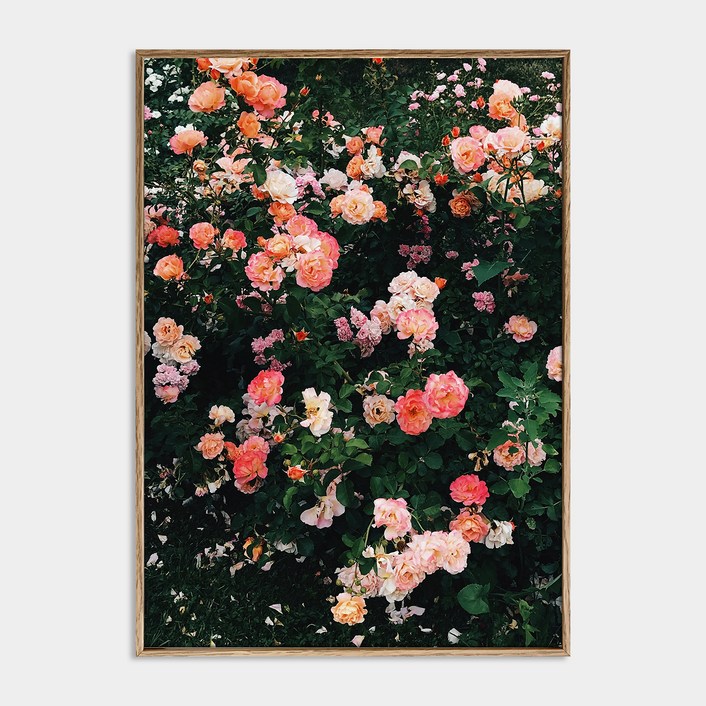 멜팅스튜디오 알루미늄 나의 유럽 모먼트 액자 세트 34번 Blooming Rosy