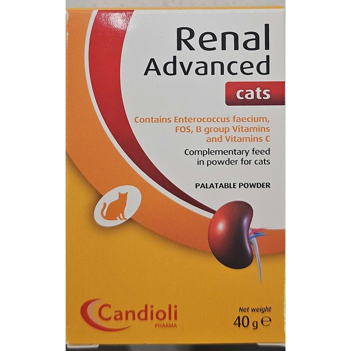 레날 어드밴스드 캣 40g