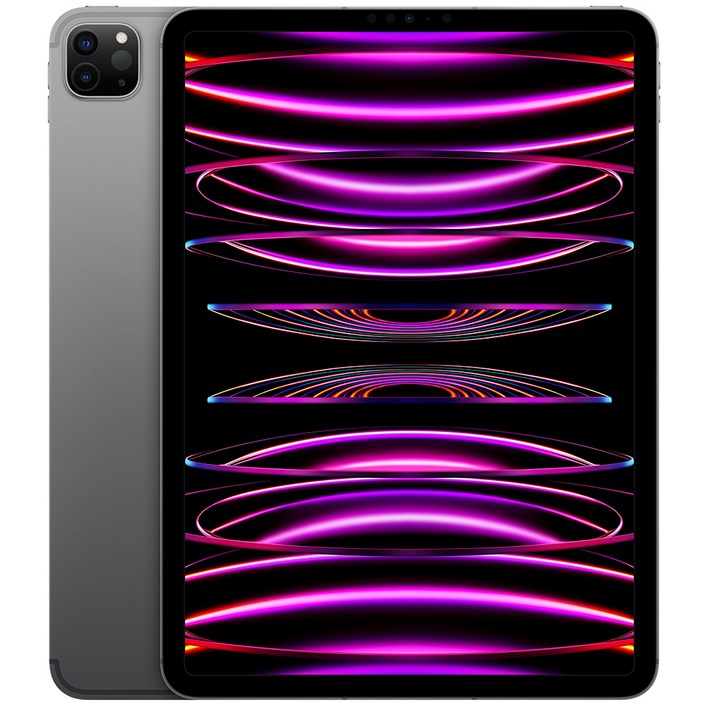 Apple 정품 2022 아이패드 프로 11 4세대 M2칩 Apple 정품 2022 아이패드 프로 11 4세대 M2칩
