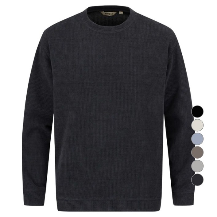 지오지아 남성용 셔닐 메쉬 긴팔 티셔츠 AEF4TR1103