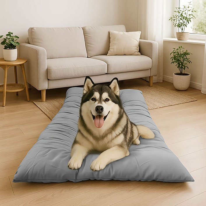 딩동펫 반려동물 통세탁 슈퍼베드 방석