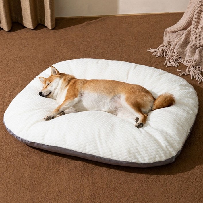 이지바이 강아지 방석 대형 중형 소형 커버분리형 쿠션 꿀잠 무중력 매트, 단일 색상