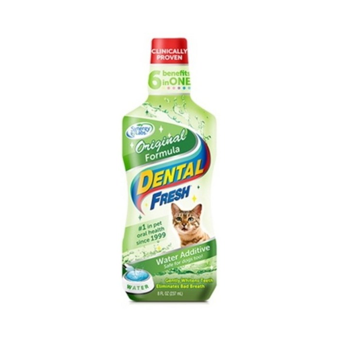 덴탈후레쉬 오리지날 고양이 구강청결제
