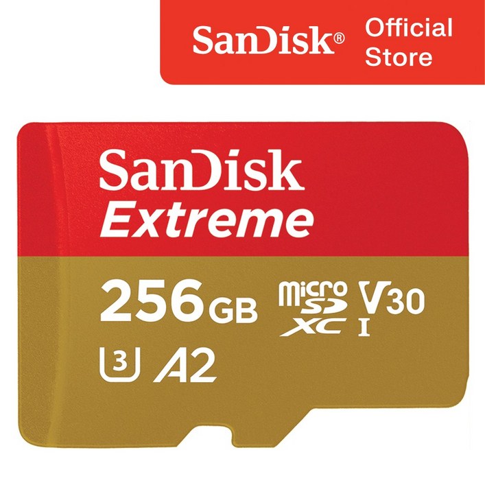 샌디스크 익스트림 마이크로 SD 카드  메모리 케이스, 256GB