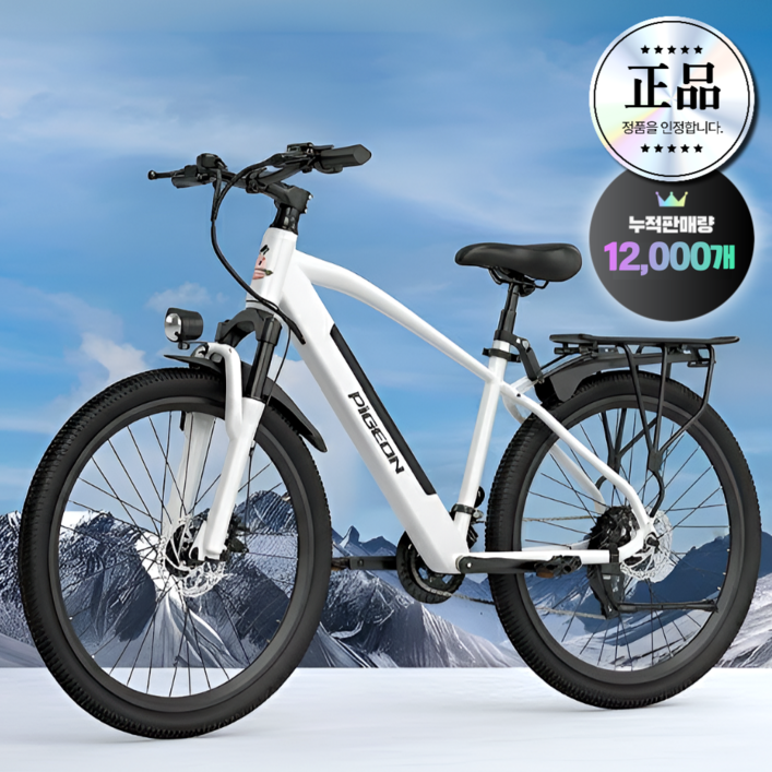 리프테크 고성능 전기자전거 미니 바이크 스쿠터 추천 배달 가성비 파스 pas 자토바이