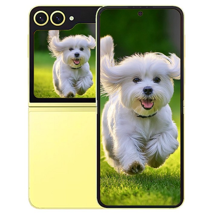 삼성전자 갤럭시 Z플립6 256GB