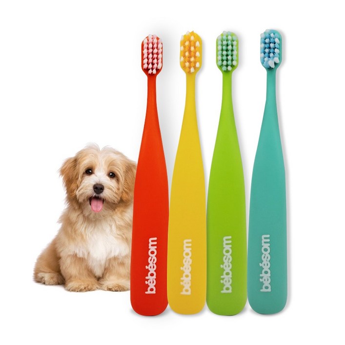 베베솜 칼라 미세모 강아지 칫솔 4개