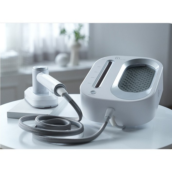 홈쇼핑히트상품 이븐라이프 2in1 파워 스팀다리미 스티밍, 블랙핑크