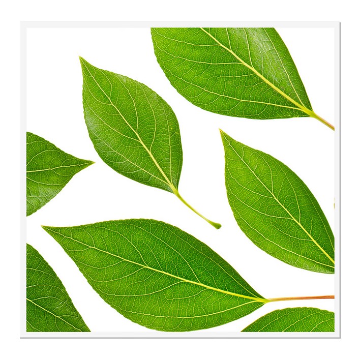 북유럽 캔버스액자 BOT0046 CA 정사각형