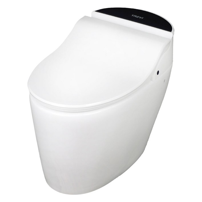 TREVI Bath No.9 자동물내림 일체형 비데  플레이트 랜덤발송, TSTTX5R50RP, 방문설치