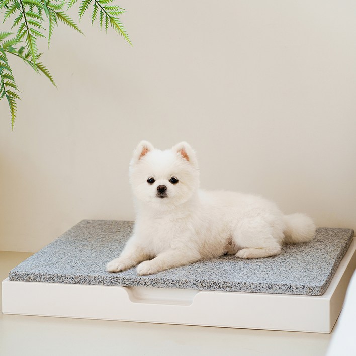 도그아이 반려동물 프레임 + 대리석 쿨매트