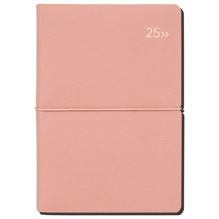 2025 다이어리 날짜형 위클리 주간식 다이어리 B6 디커버다이어리 DV PRO1