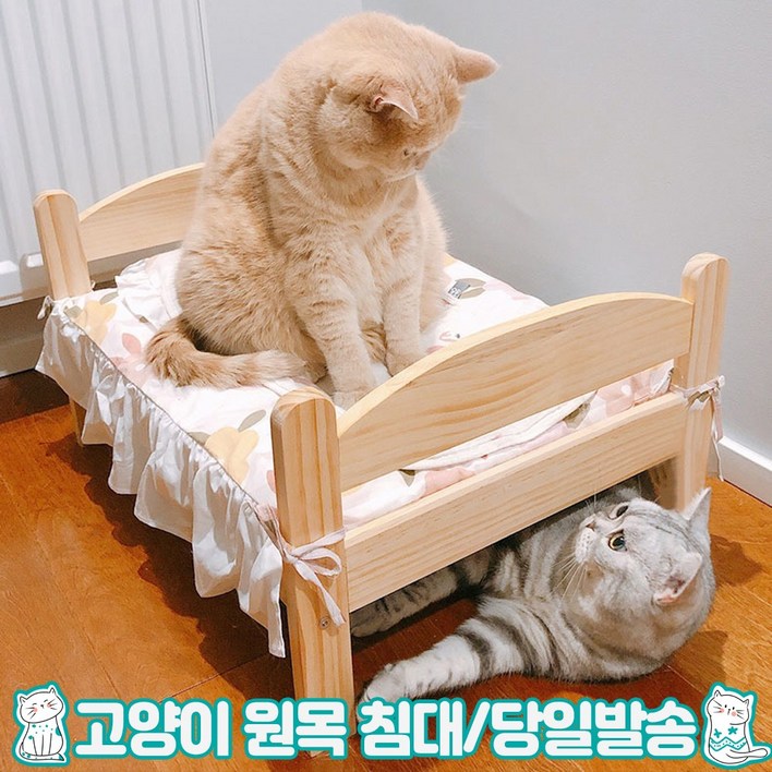 릴스베이 고양이원목침대 고양이 강아지 반려동물 침대 캣침대