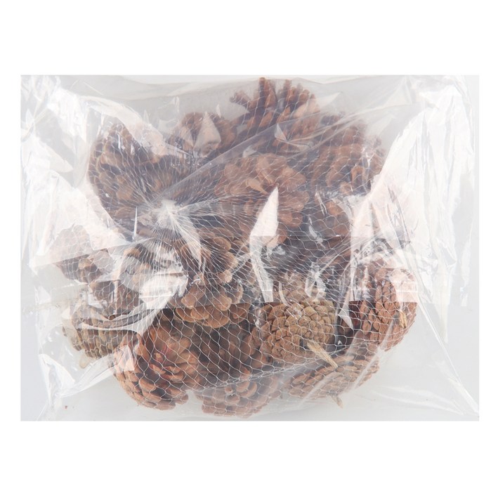 유니아트 천연솔방울 대 500g