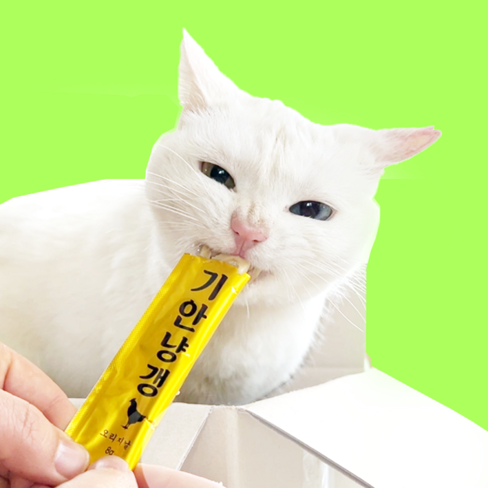 기안84가 선택한 프리미엄 고양이 닭가슴살 영양 간식 기안냥갱