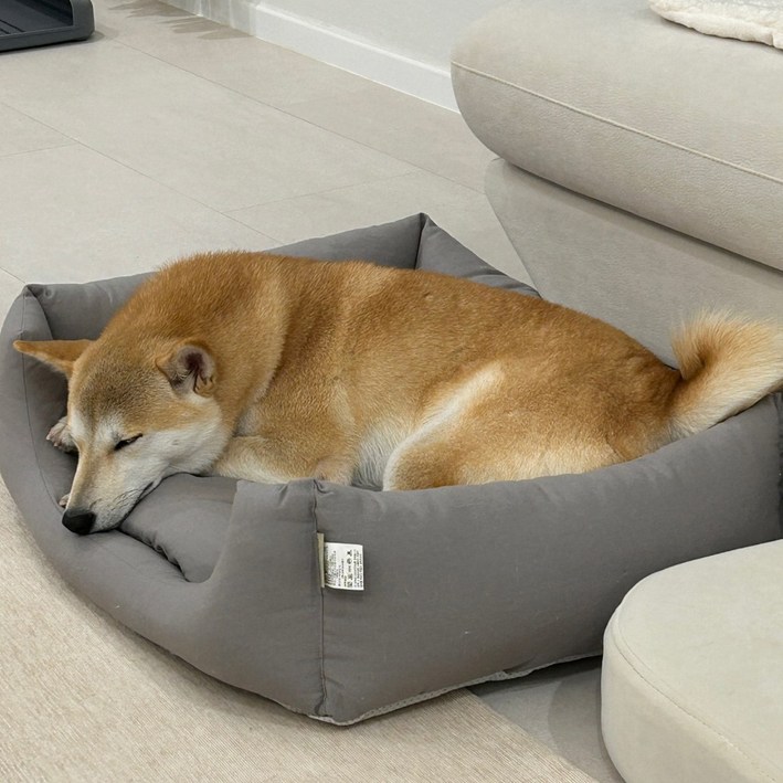 강아지용 캔버스 애견쿠션베드